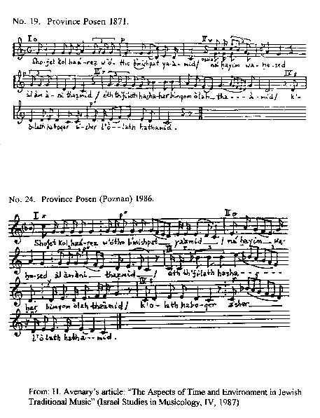 Shofet image 3_0.jpg