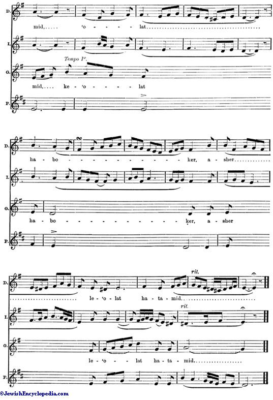 Shofet image 7_0.jpg